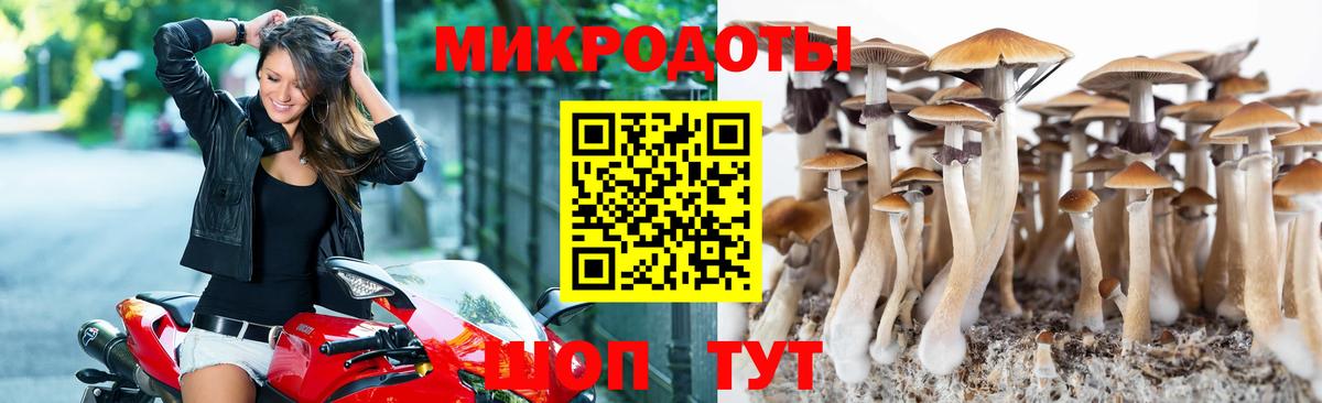 Псилоцибиновые грибы Magic Shrooms  цена   Рыбинск  Псилоцибиновые грибы прущие грибы  Вход с VPN 